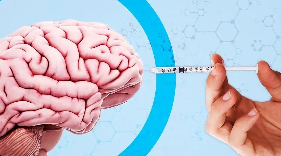 胰岛素都有什么作用,胰岛素的作用与危害论文