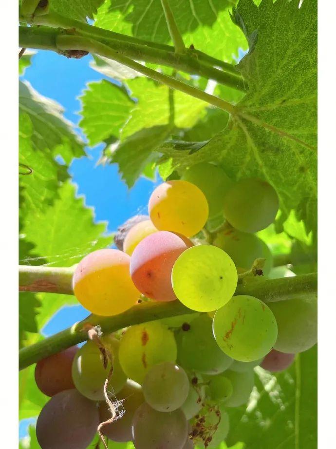 每日一笑精品段子,每日一笑段子