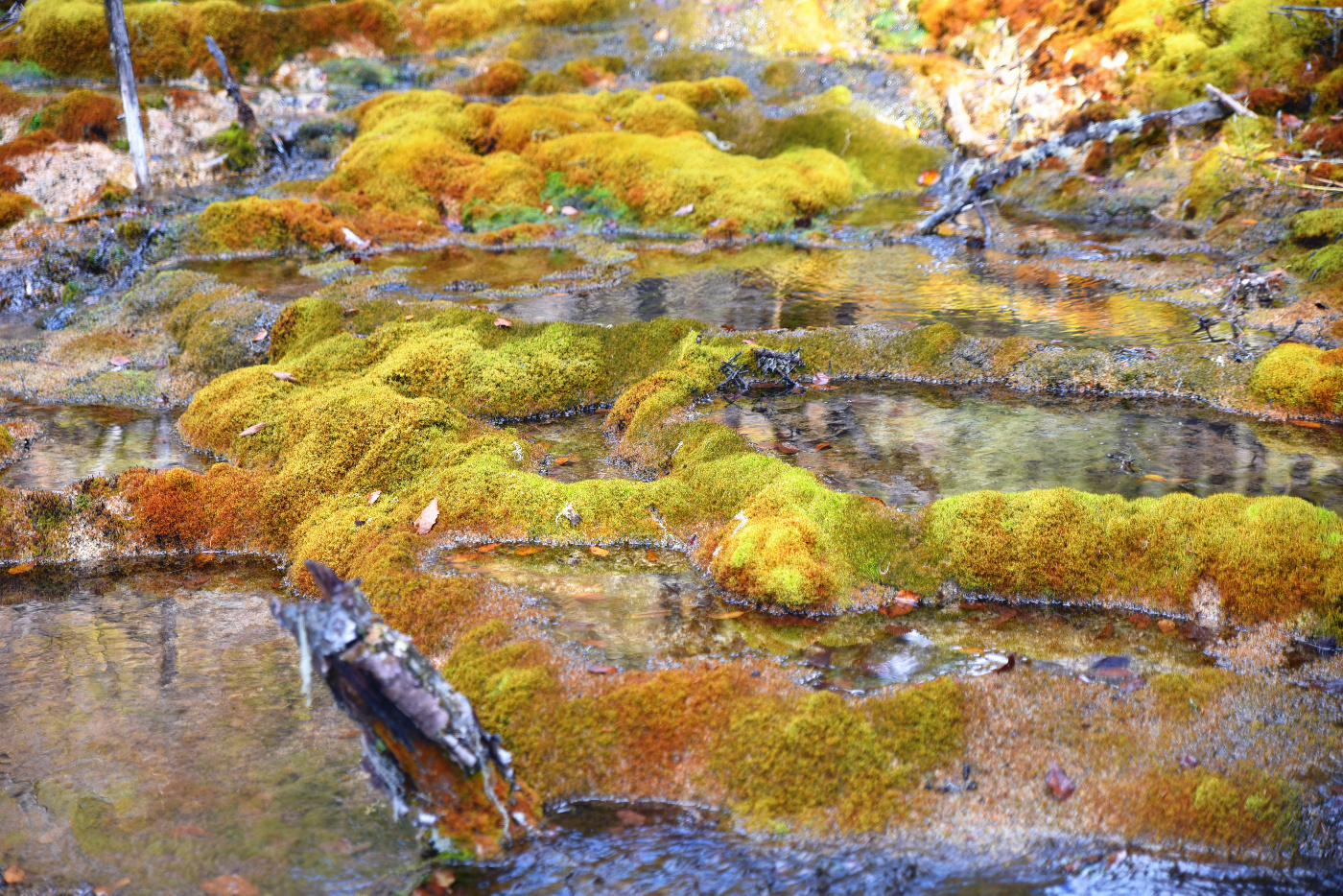 卡龙沟景区有什么好玩的,卡龙沟穿越松潘