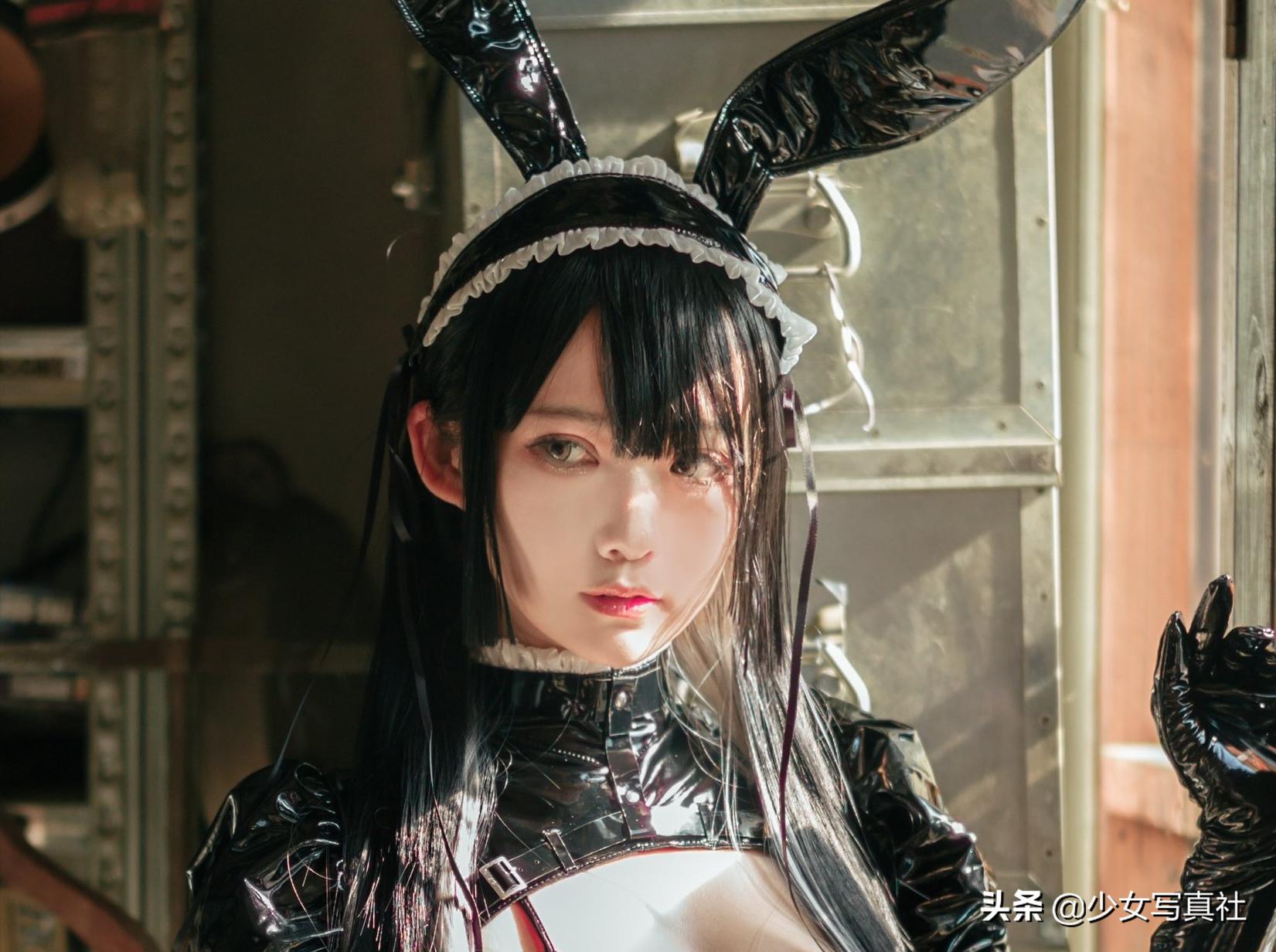 鏃ユ湰骞抽潰妯＄壒,鏃ユ湰妯＄壒鎷嶇殑浣滃搧