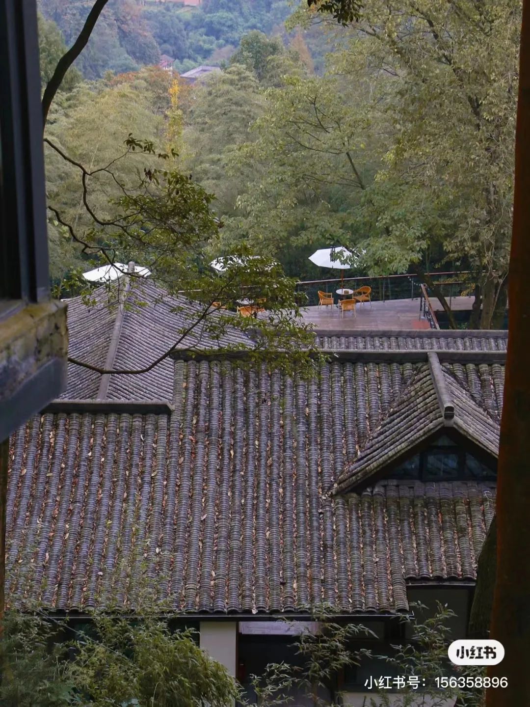 躲进山里民宿,躲在深山老林的民宿