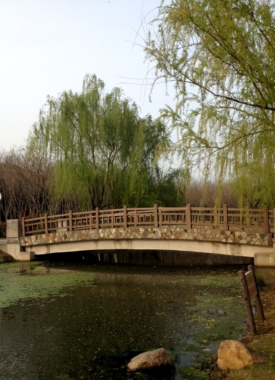 上海第一大人工湖在哪里,上海最值得打卡的公园