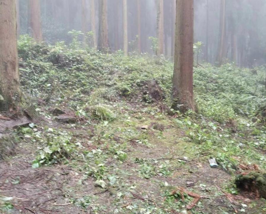 四川什邡3名服毒自杀年轻人身份证实，网络灰色角落再引关注！