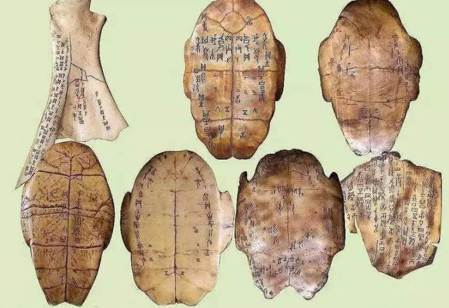 母亲为什么这么伟大完整版,母亲为什么那么伟大