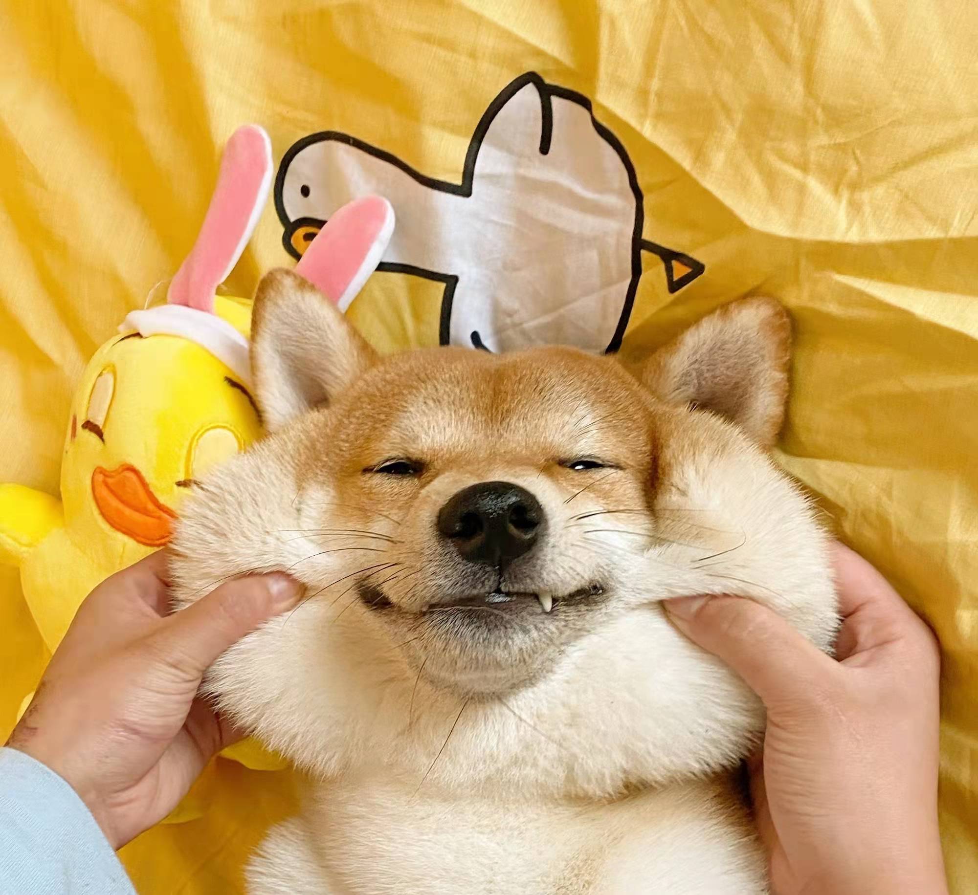 你只关心你自己的沙雕文案,夸姐妹的文案沙雕