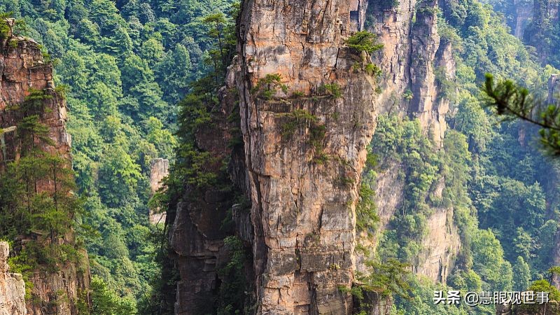 侯海洋基层风云全文免费阅读,侯海洋基层风云完整版免费听