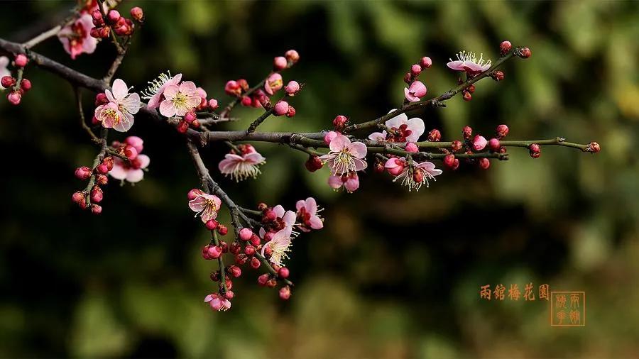 七年之痒短片,七年之痒短篇小说