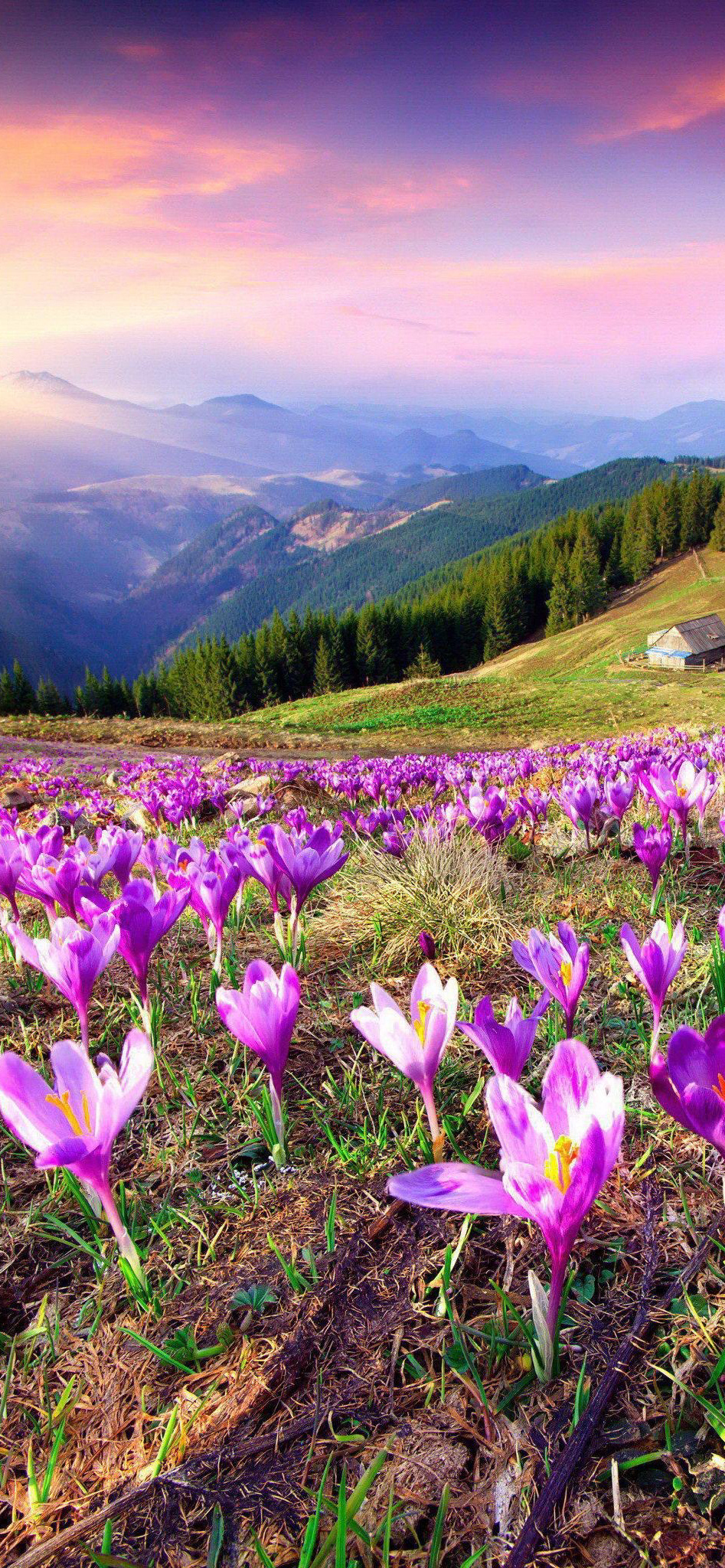 手机锁屏桌面壁纸桂林山水和风景,浪漫春天清新风景护眼锁屏壁纸