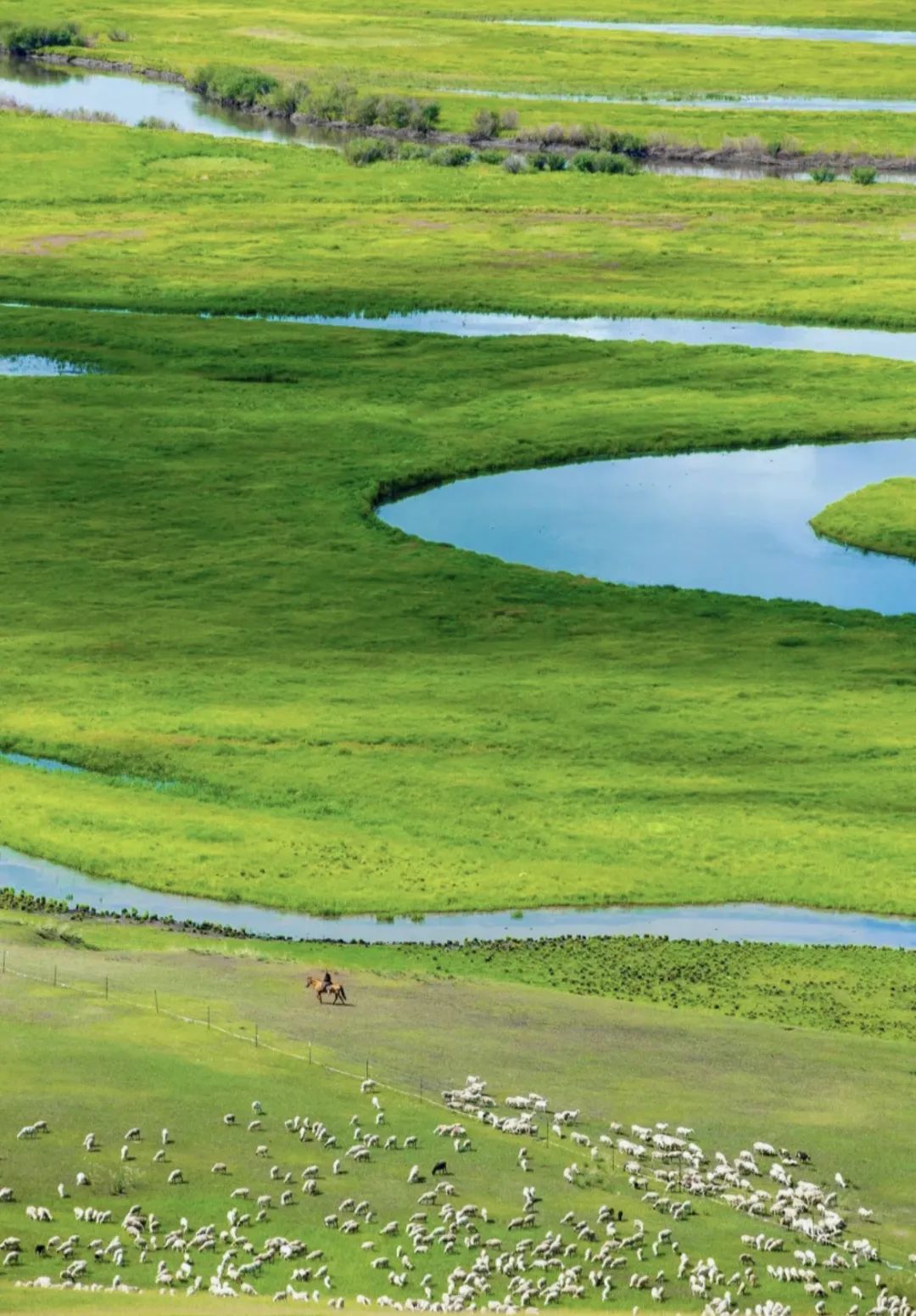 呼伦贝尔特色美食推荐,呼伦贝尔打卡美食