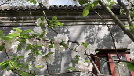 北大光华管理学院学费一年,北大光华管理研究生学费