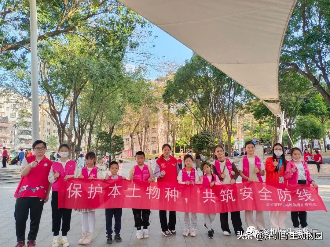 穿山甲穿山乙,穿山穿山甲真的能穿山吗