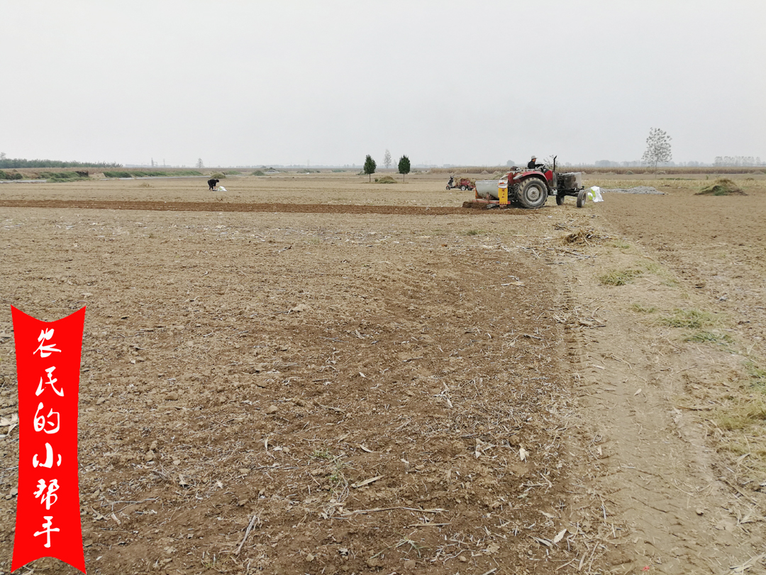 小麦玉米价格十年对比,小麦玉米什么时候价格最高