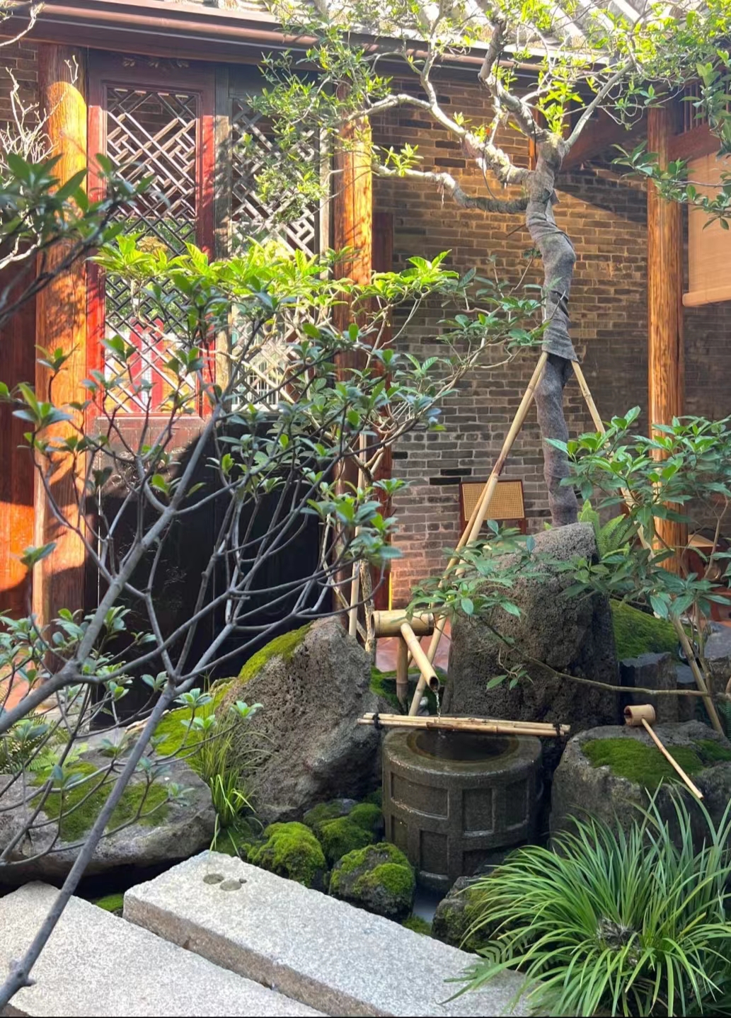 星驰觅食记，小院下午茶