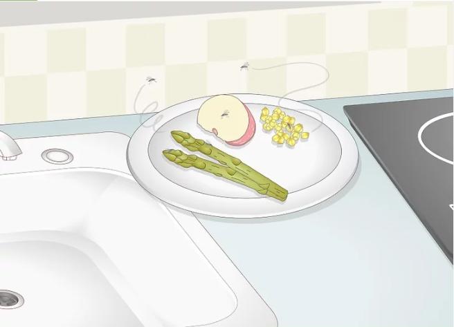 怎么消除厨房的小蚊子,怎么去除厨房异味和蚊虫