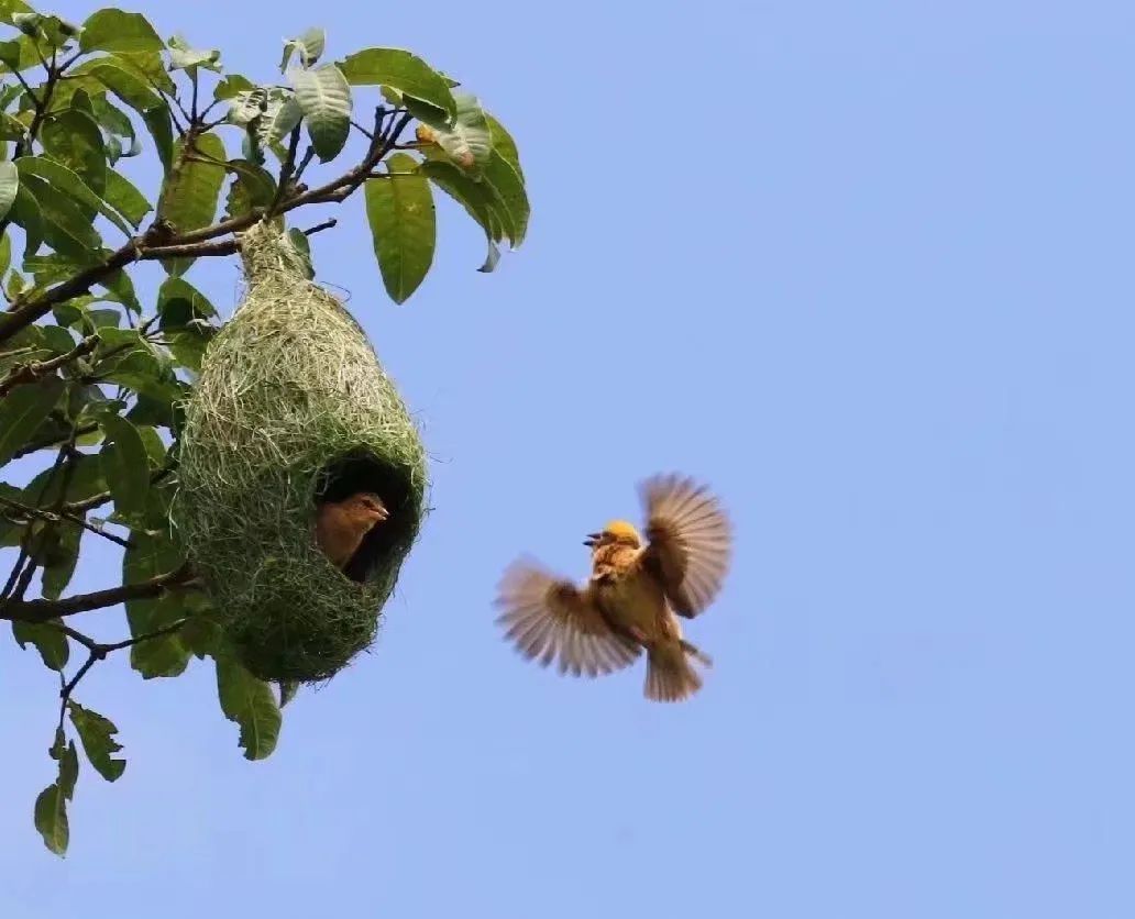 昆明七彩云南怎么样,七彩云南避暑家园