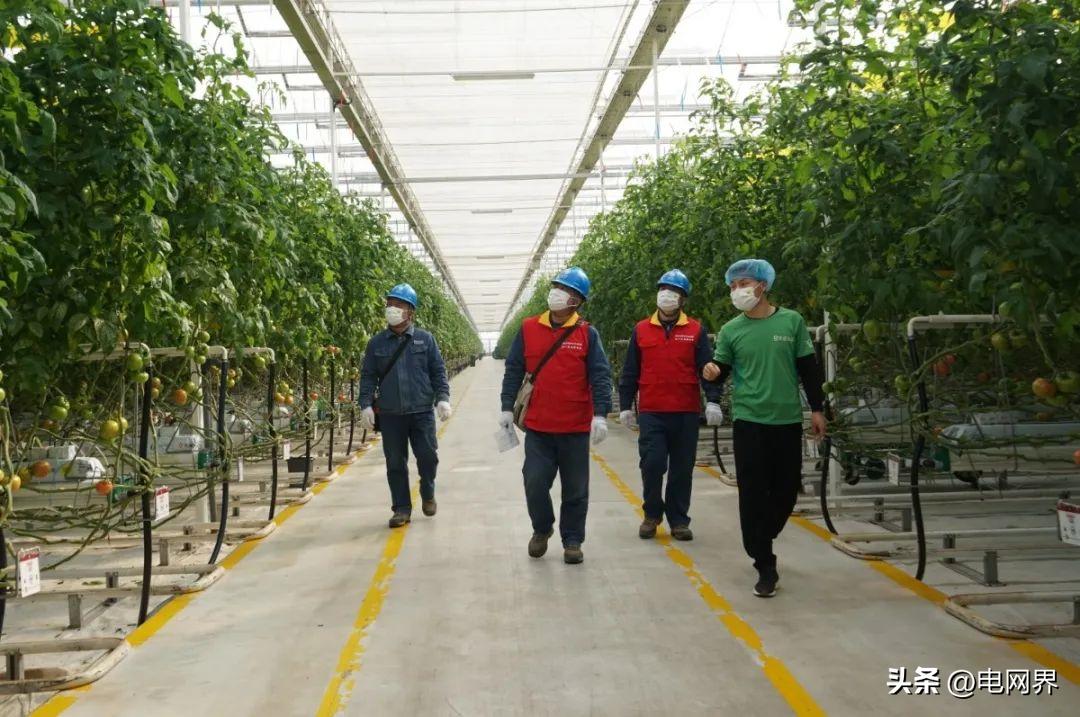 电网公司学习雷锋精神,供电公司青年职工发扬雷锋精神