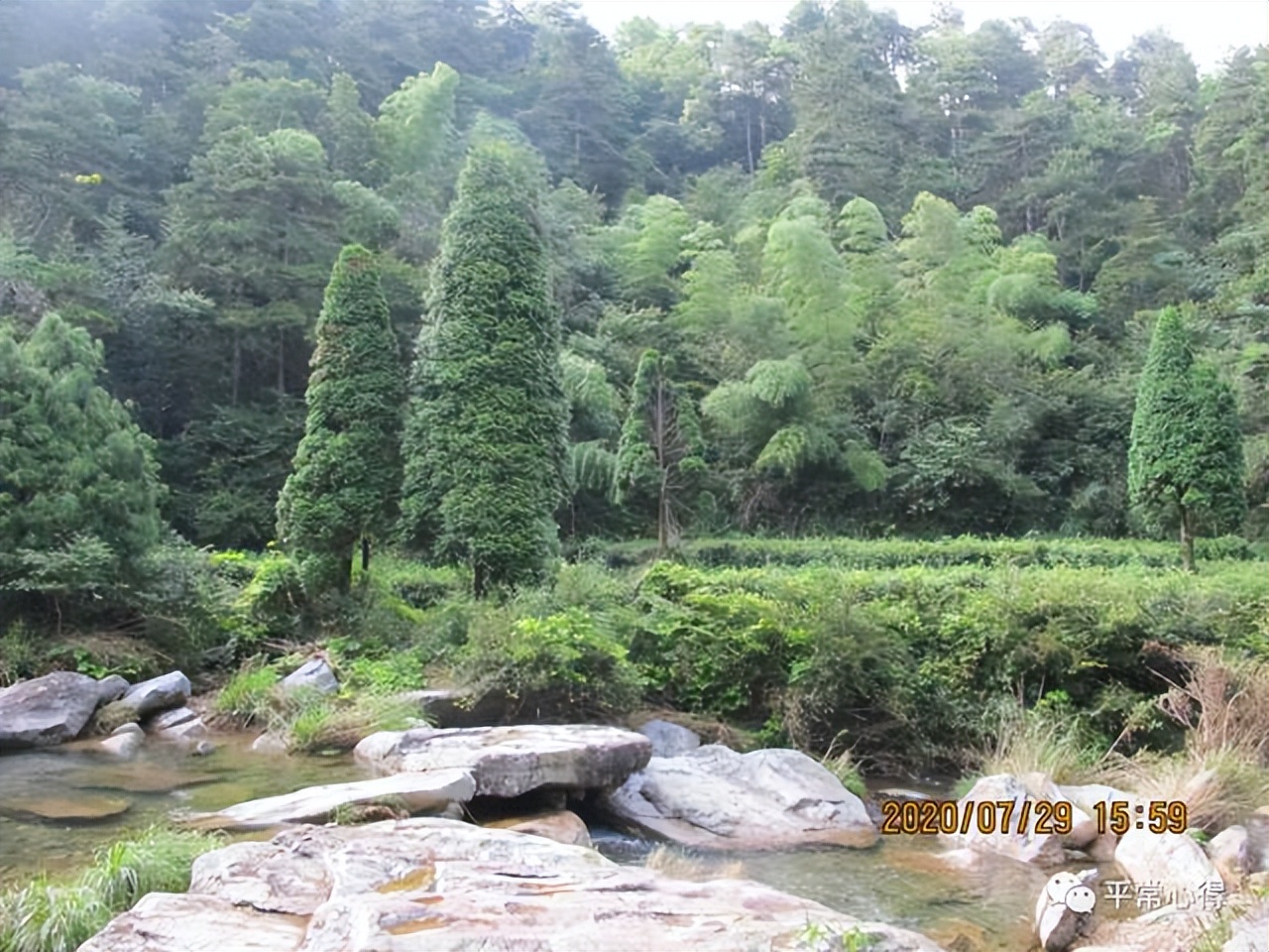 庐山历史典故,庐山发展史