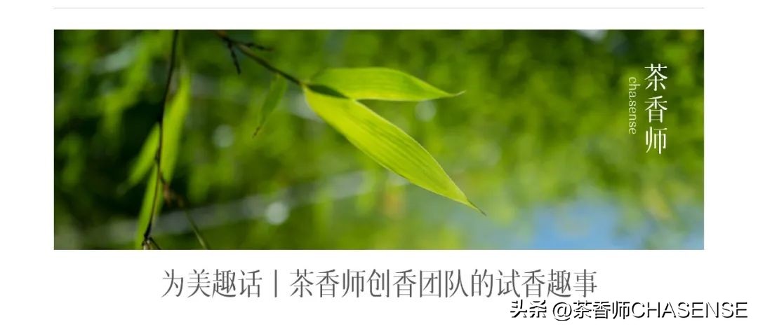 茶香师说丨每个新的气味都是一场赌局