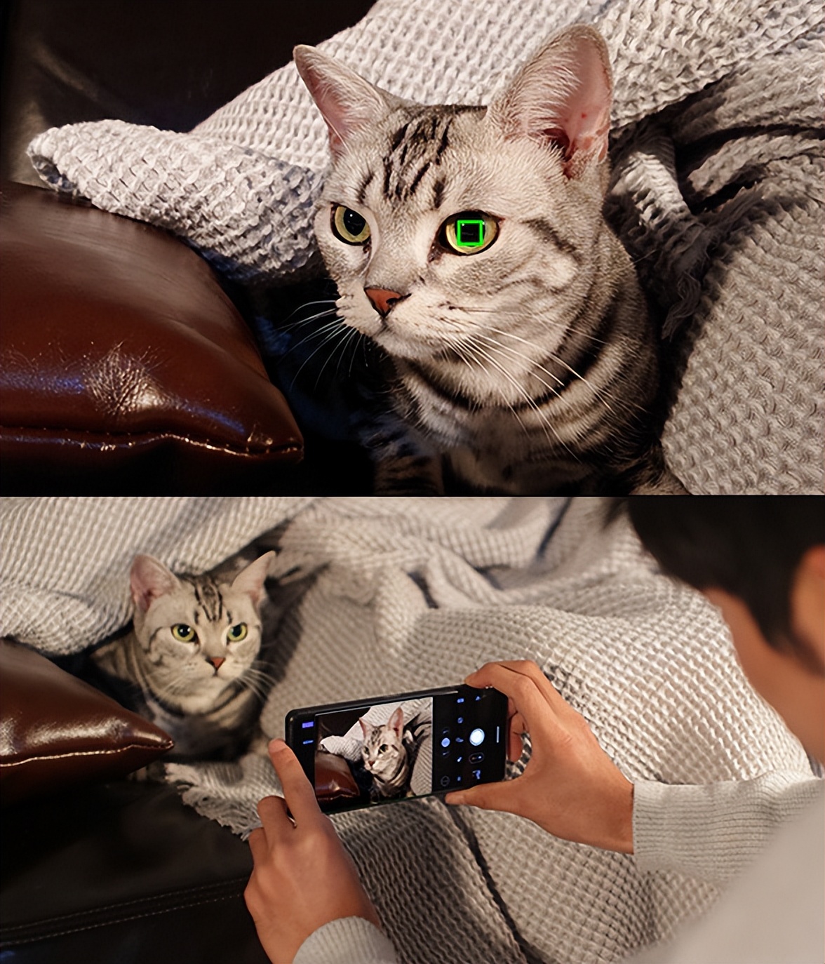 索尼“心比天高”，12GB+512GB保持在8999价位，买得起的人很少