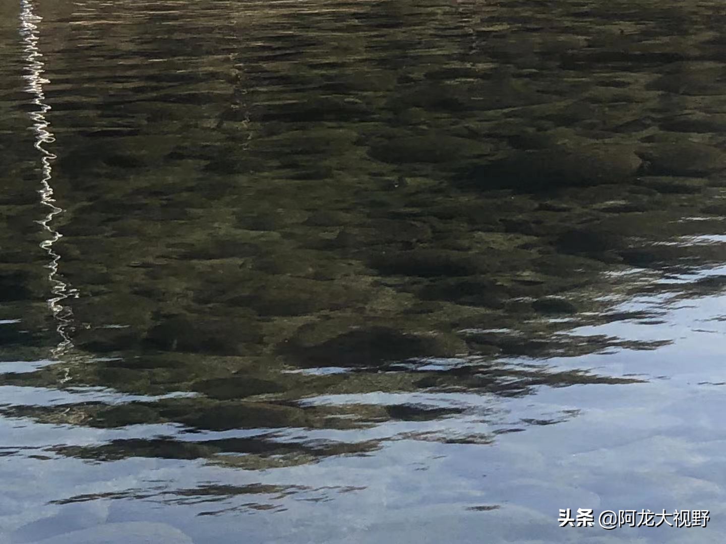 野钓：小河道巧夺大板鲫和黄骨鱼！分析得当，渔获自然少不了