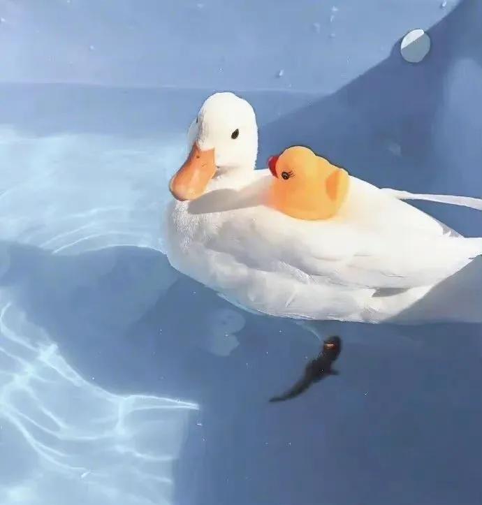 钱不是靠勤奋赚来的,赚钱几个小妙招