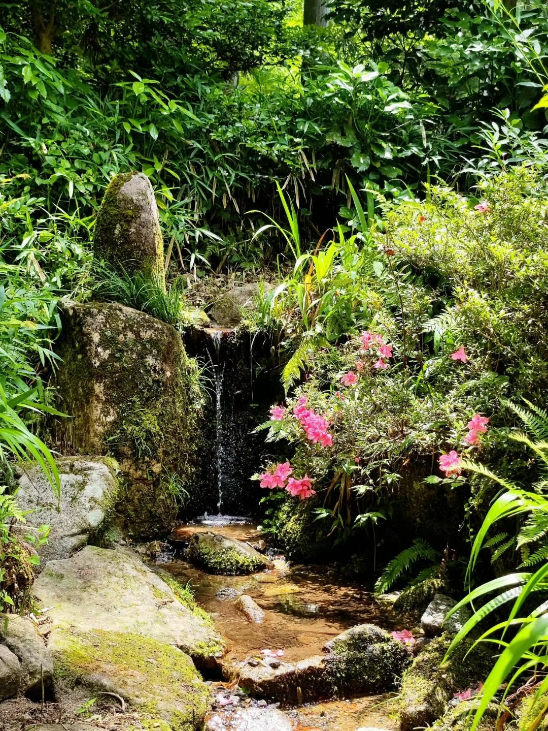 京都旅游住宿排行榜,京都人的私房雅趣全集