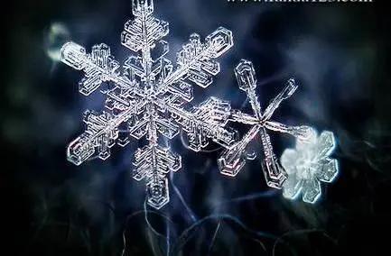 日本高科技收割机,被智商收割