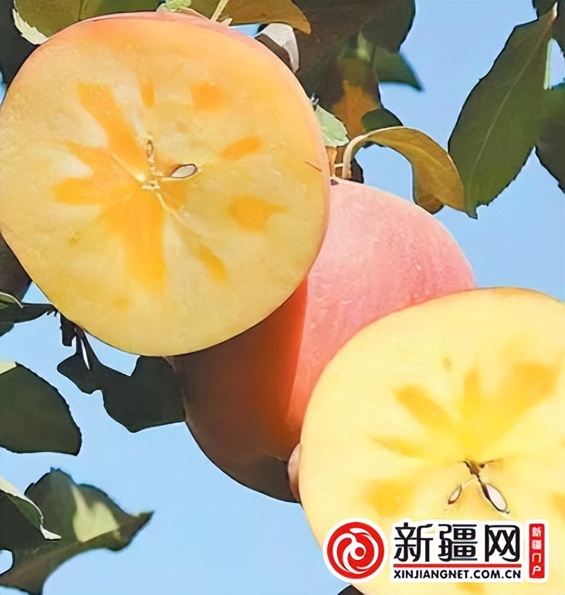 瞧瞧这些火出圈的*疆新**明星产品