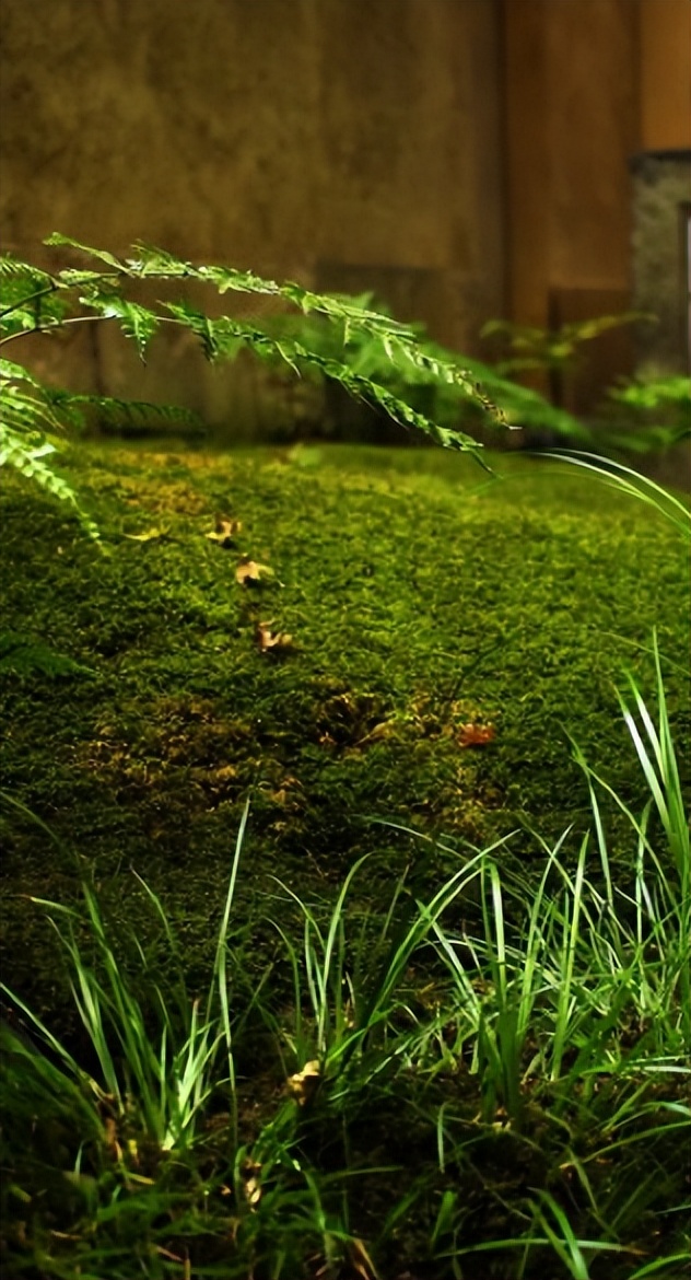 浜兘閰掑簵鎺ㄨ崘鏃ュ紡,浜兘鏃ュ紡鏃呴鎺ㄨ崘