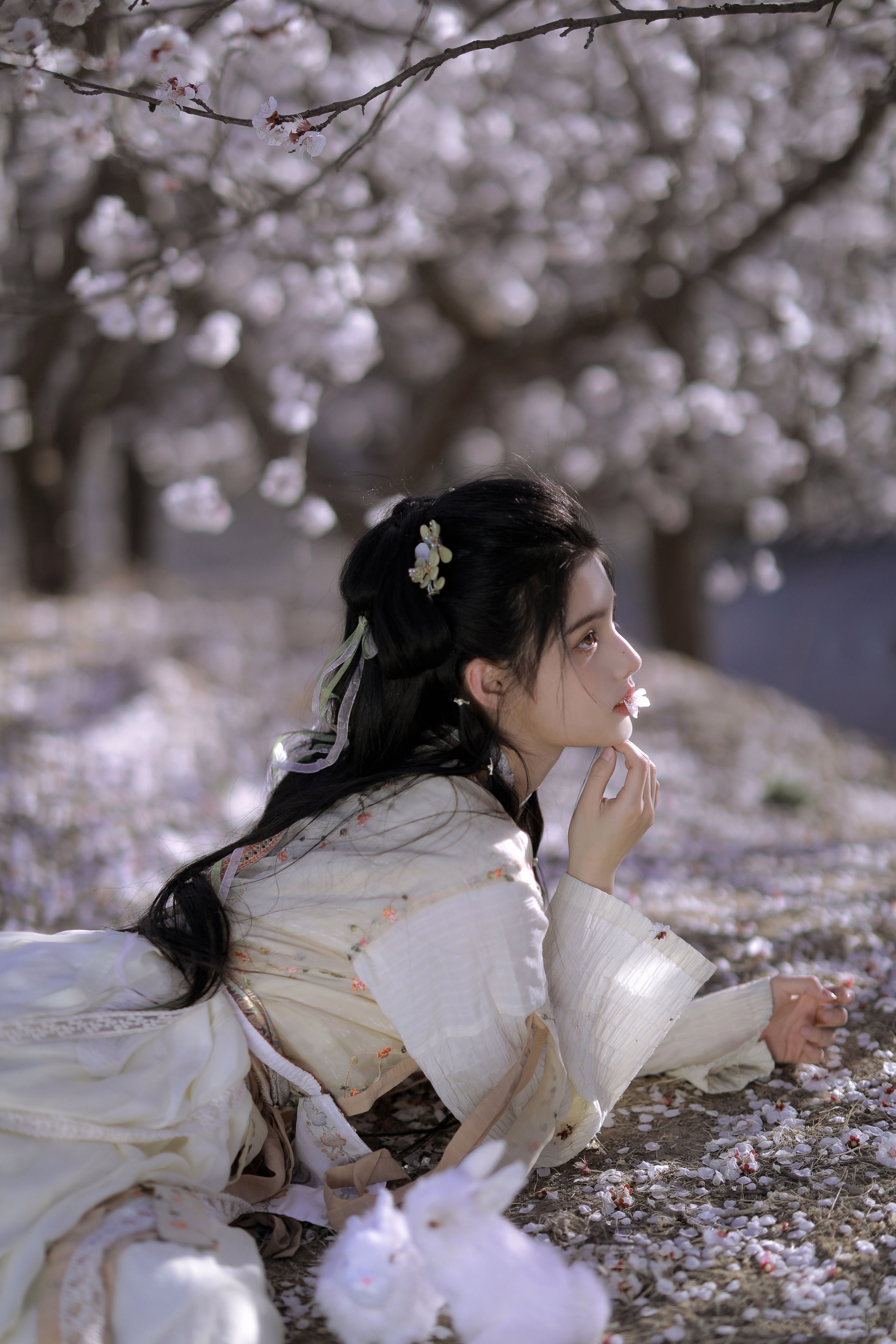 国风如画,国风汉服写真