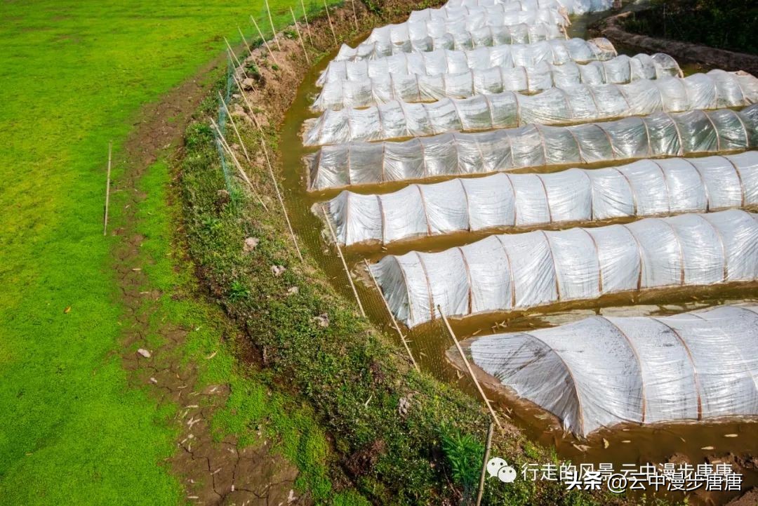 越江码头轮渡,越江轮渡在哪里