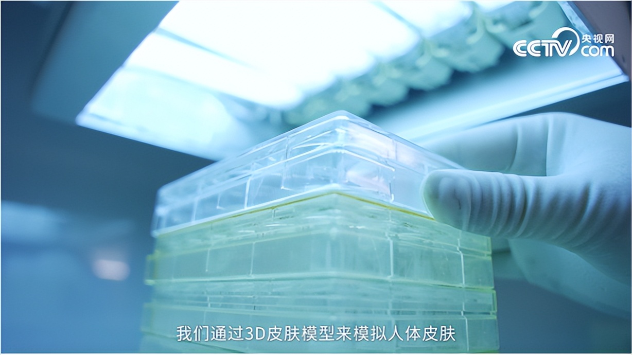 《从此刻起》全文朗读视频,欧诗漫经典语录