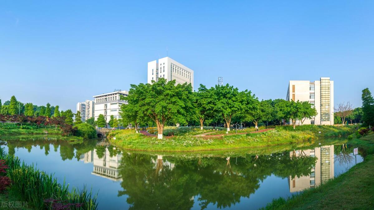 西南石油大学四川排名多少,西南石油大学四川省排名