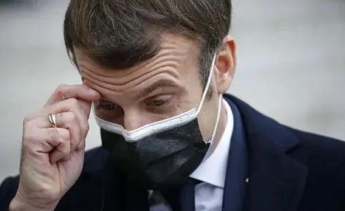 法国滥用抗生素成“定时*弹炸**”,养殖户坦言:绝不吃自己养的兔子