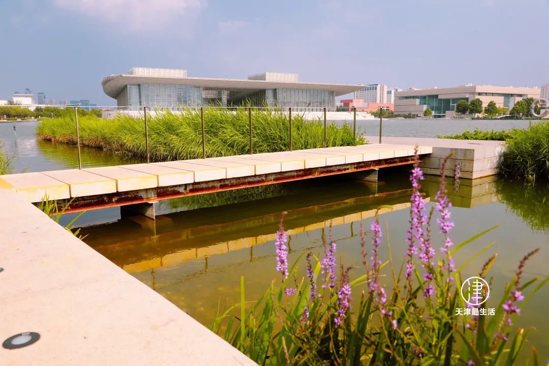 为什么说天津是很特殊的城市,天津哪里不算是市中心