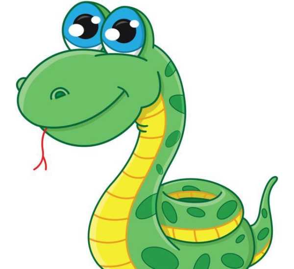 100元一条小青龙,中国毒蛇小青龙