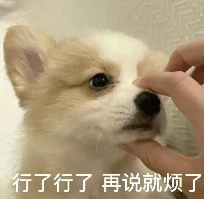 吃瓜动态表情包下载,躺床上吃瓜表情包