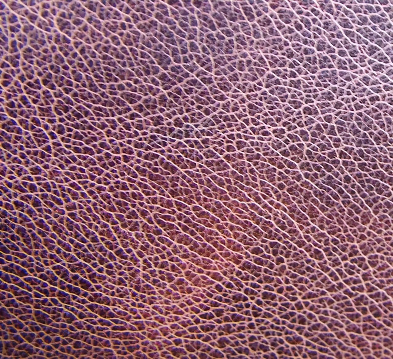 皮革染色的操作方法一般都有哪些,皮革染色上色方法和技巧