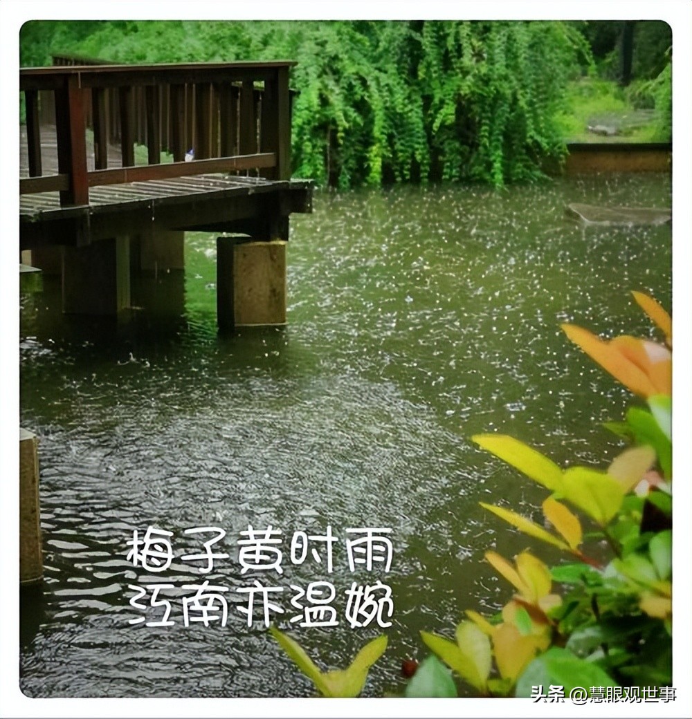 自然现象的古诗词,学生必背古诗词41到60句