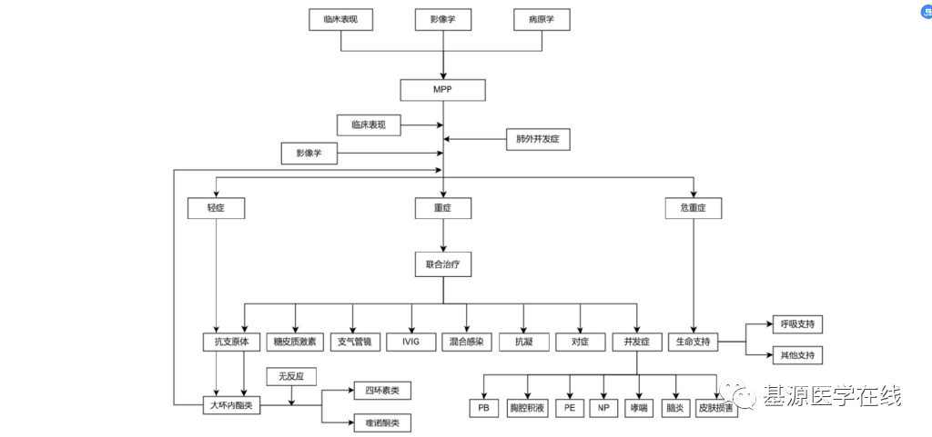 2023年肺炎支原体,支原体肺炎指南最新