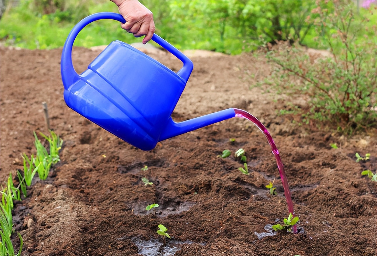 农用高锰酸钾能和哪些农药混配,高锰酸钾能作为农用肥料使用吗