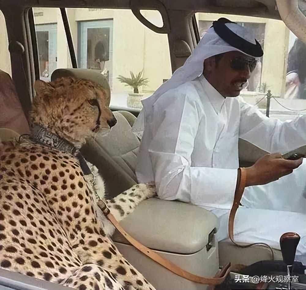 带你走进真实的卡塔尔：你应该知道的15个关于卡塔尔的冷知识