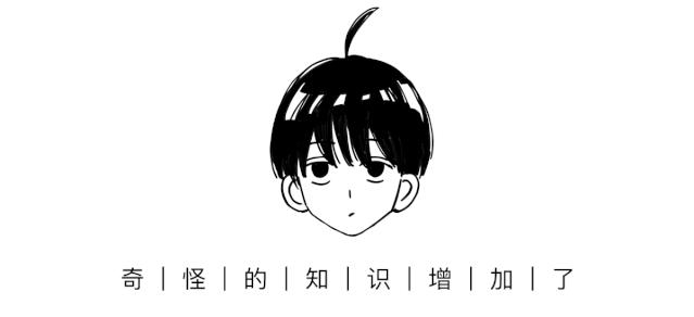 男女生裤子口袋对比,男女生的裤子有什么标志吗