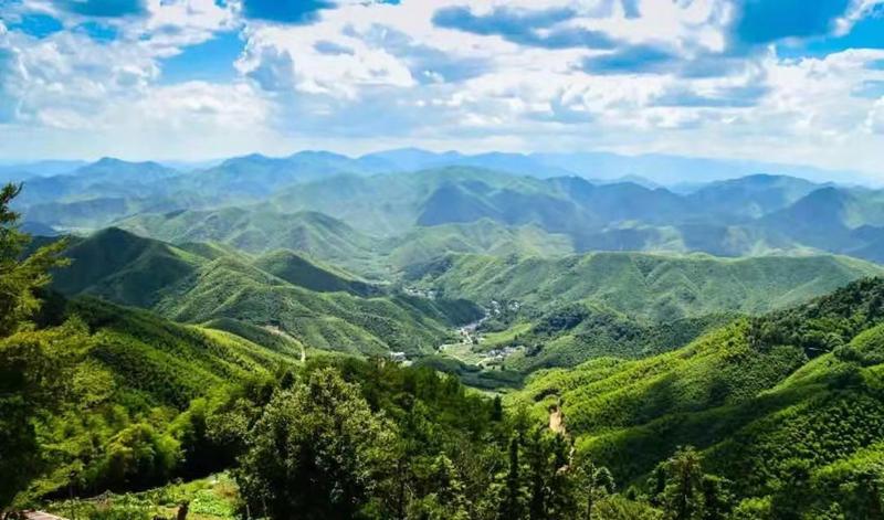 隐于莫干山山林中的5家神仙度假民宿，与自然撞个满怀丨南方民宿