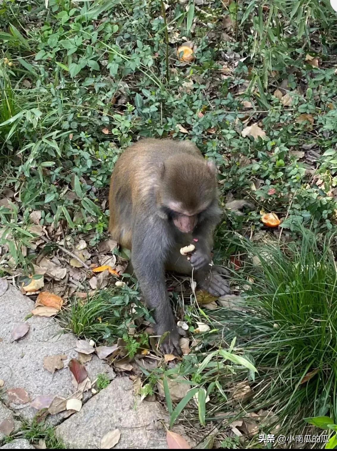 苏州休闲娱乐的景点,苏州娱乐游玩项目