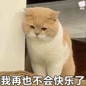 减肥代糖危害,减肥代糖真的不会胖吗