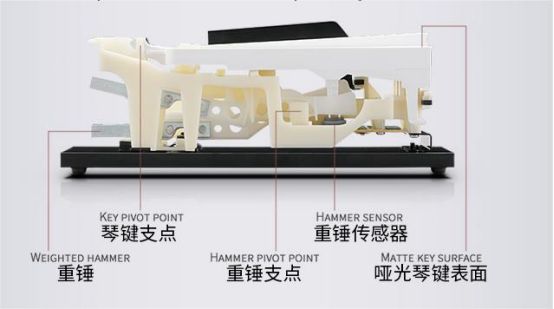 买电钢琴买音色好的品牌,买电钢琴选哪个牌子好