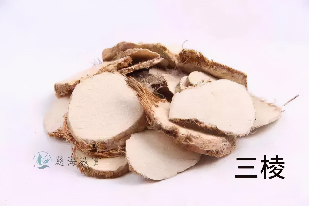 每日一味中药三棱,每天学习一味中药三棱