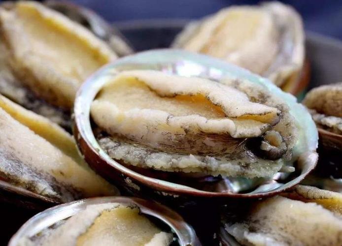 鲍鱼中常见的寄生虫,鲍鱼饲料有毒吗