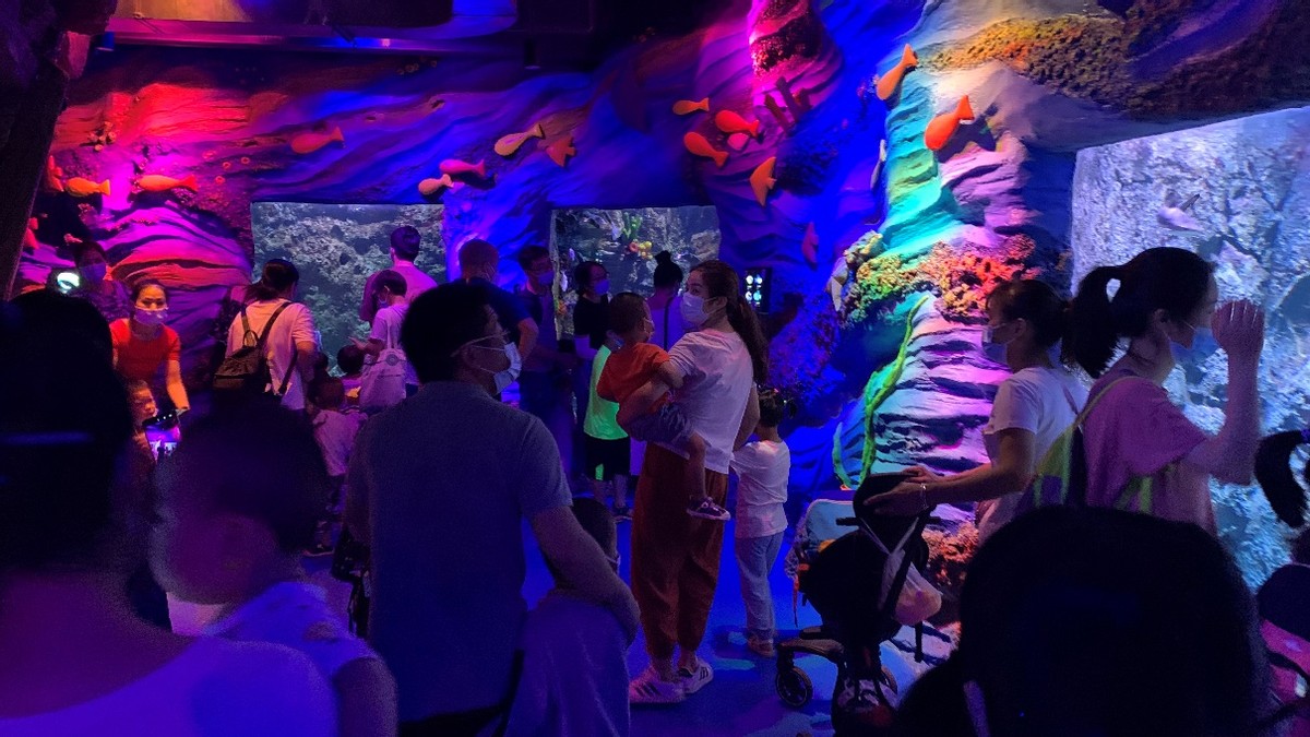 深圳适合带孩子去玩的海洋公园,深圳暑期遛娃好去处